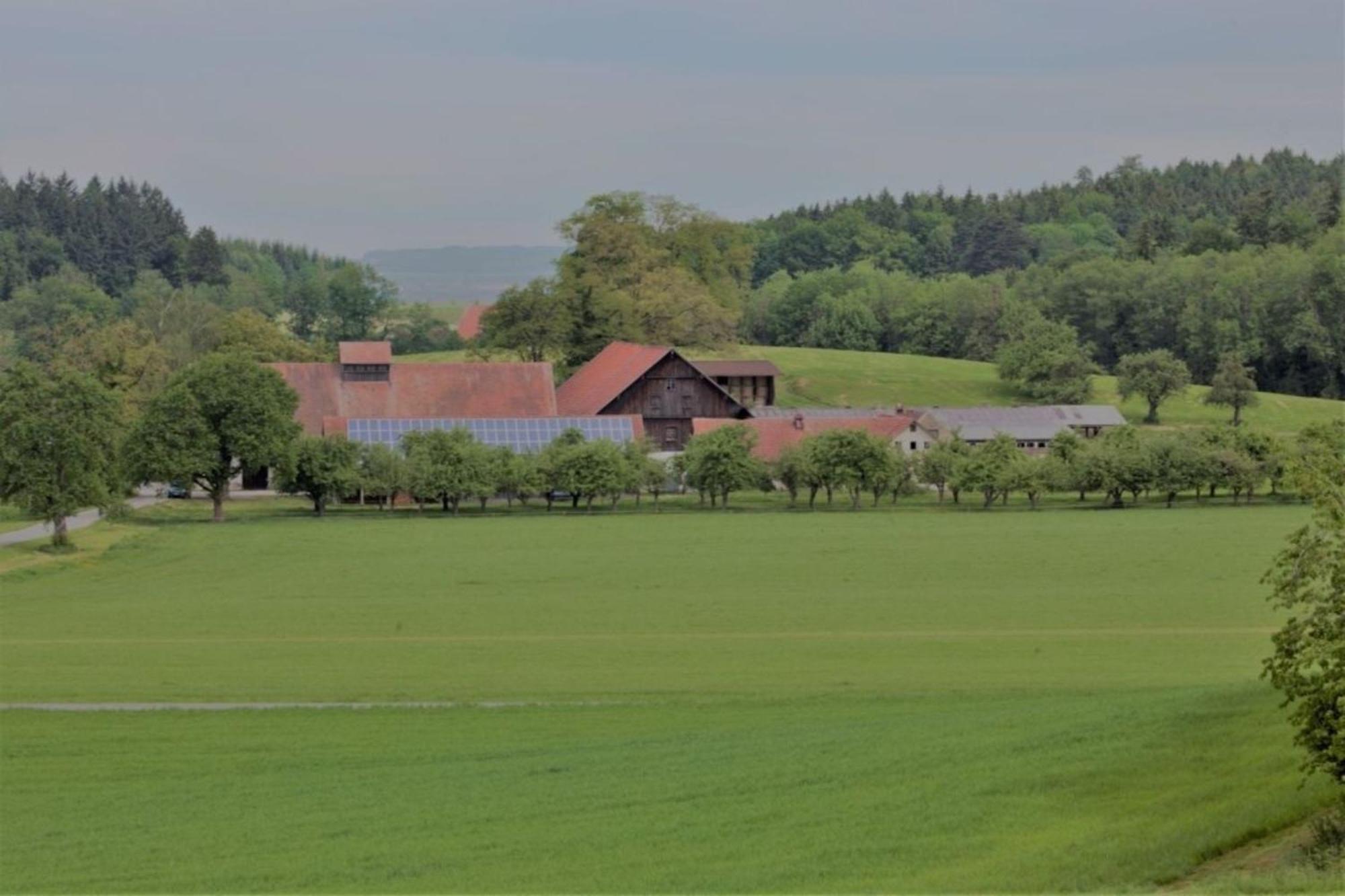 Roesslerhof Ferienwohnung Roesslerweiher Schlier エクステリア 写真
